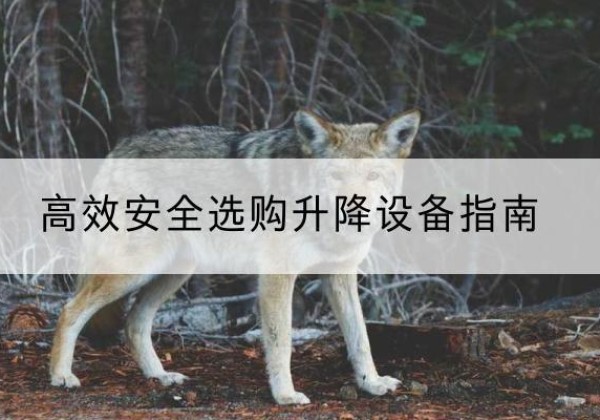 峨边升降货梯厂家推荐-*安全选购升降设备指南