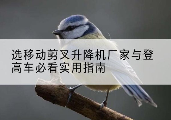 峨边电动升降机厂家-选移动剪叉升降机厂家与登高车必看实用指南